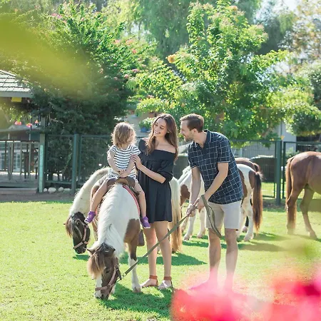 Resort Merit Crystal Cove & Casino 5*