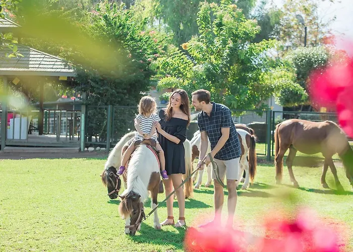 Resort Merit Crystal Cove & Casino 5*